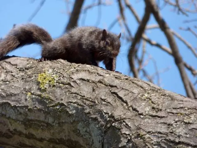 J.J. Byrne Playground