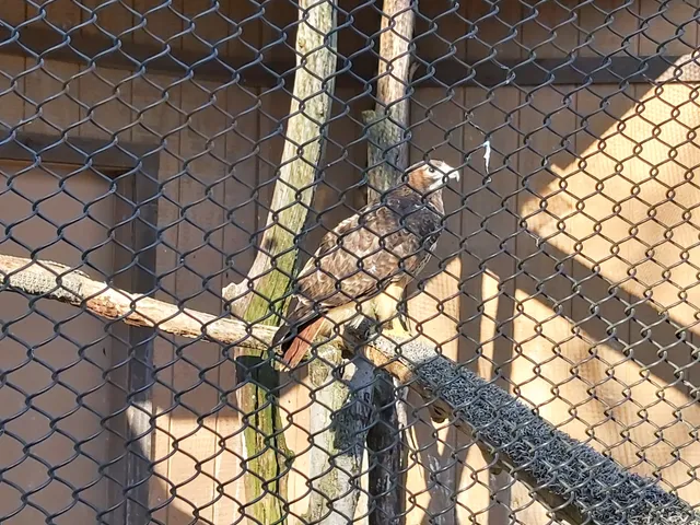 Lake Erie Nature & Science Center