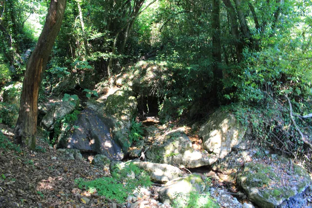 Riserva Naturale della Grotta delle Farfalle
