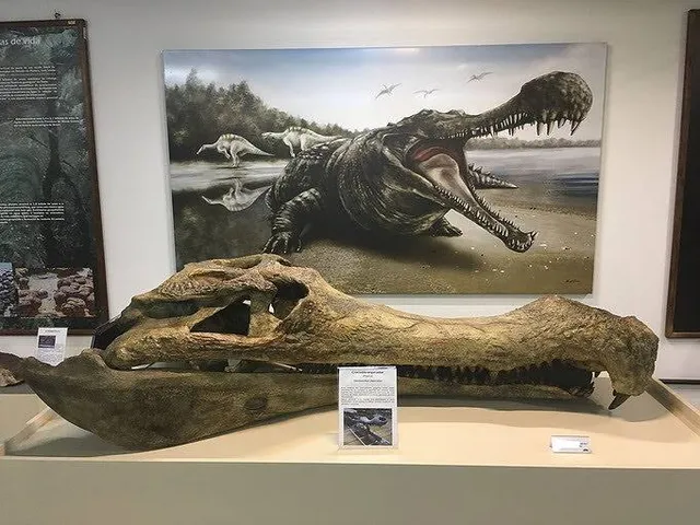 Museu de Ciências Naturais UFPR