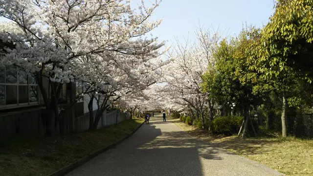 Kanegasaki Park