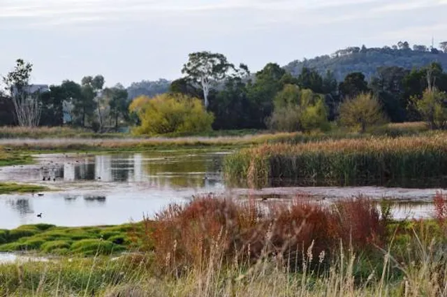 Jerrabomberra Wetlands Nature Reserve