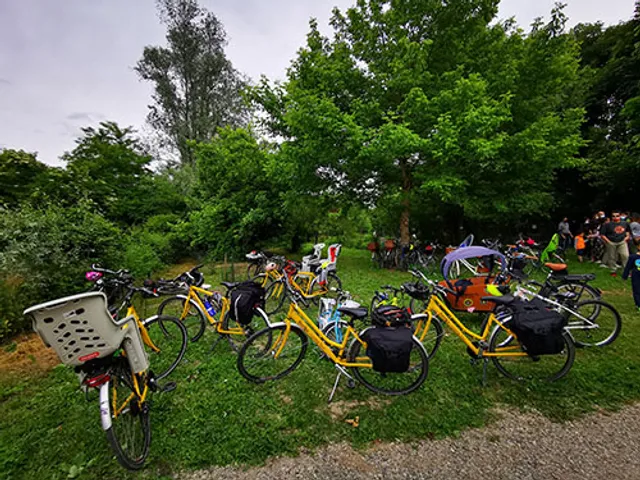 Beega Cycling Tour Cremona - su prenotazione noleggio bici / ebike e cicloturismo