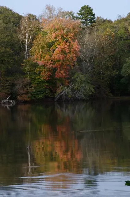 Landsford Canal State Park