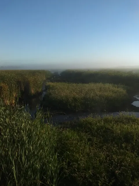 Mascoutin Valley State Park Trail