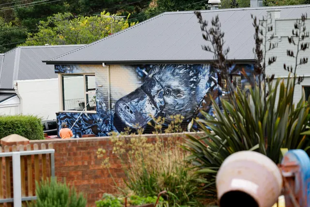 Hobart Rivulet Platypus Mural