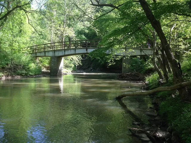 Rock Creek