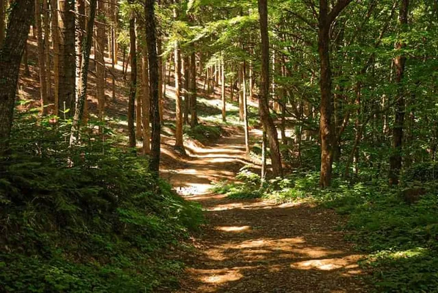 Parco comunale Monte Montone