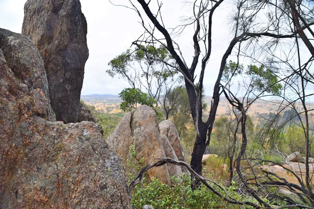 Kaiserstuhl Conservation Park