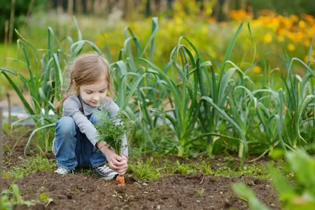 Moeras van Jette-Ganshoren