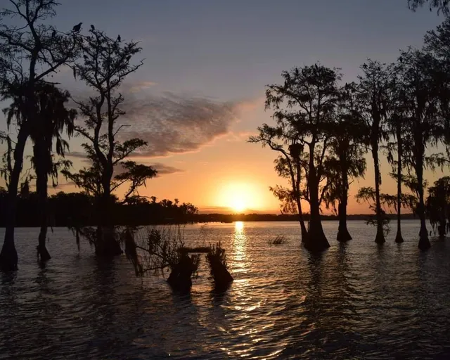 Clermont chain of lakes