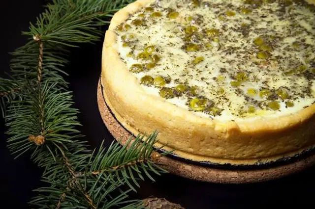 Le Jardin Des Tortues