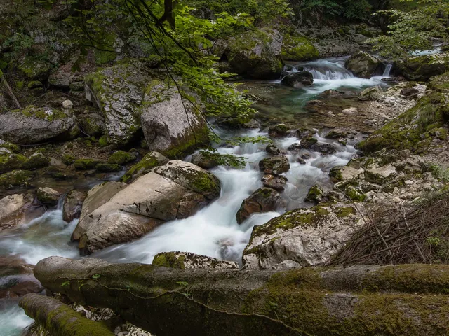 Fabien Caterina Immersion Pêche