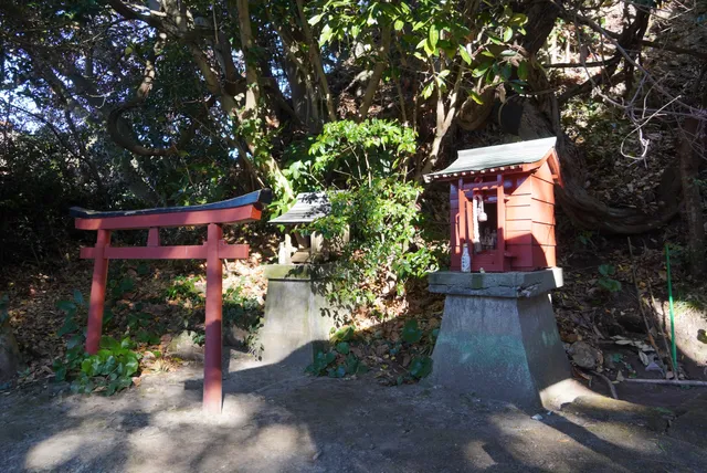 photo-1