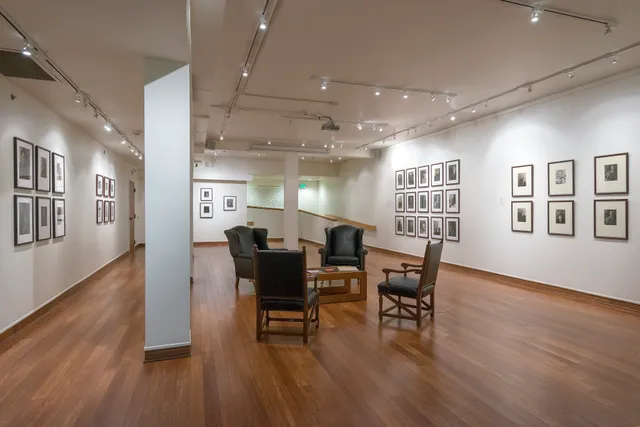 Fisk University Galleries (Carl Van Vechten Gallery & Aaron Douglas Gallery)