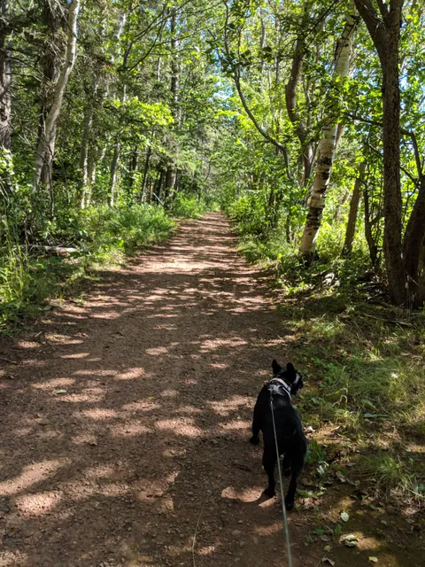 Rotary Friendship Park