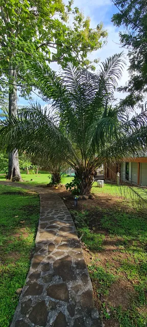 de Basse Terre Botanical Garden