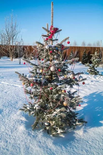 Holens Gammelgård - Ankarcronas Holen i Tällberg