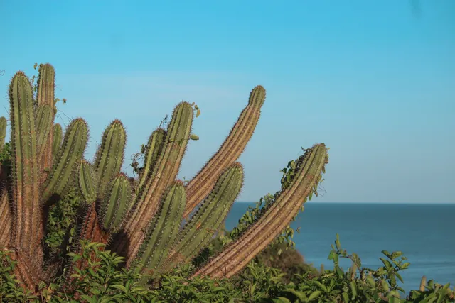 Serrote de Jericoacoara
