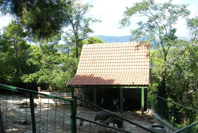 Natural History Museum and Zoo