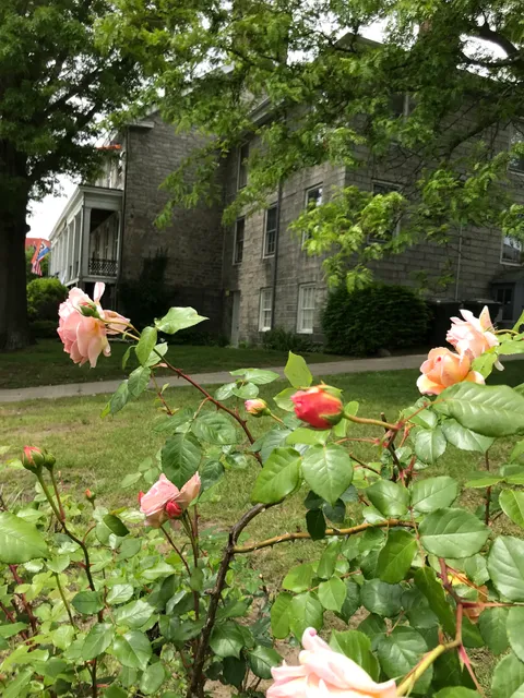 photo-2