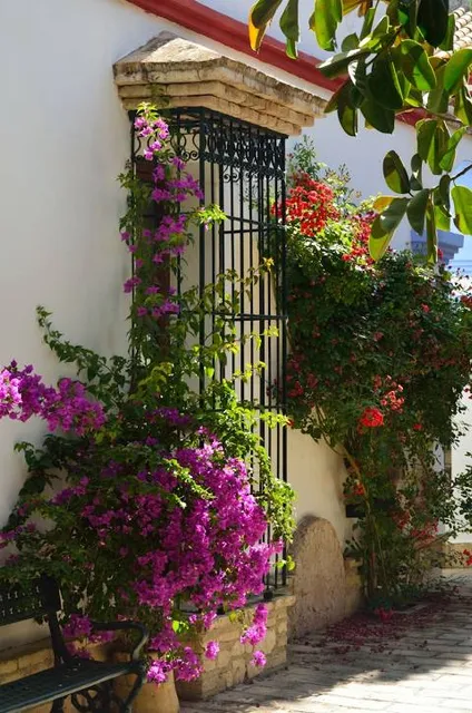 ANCPCPP (Asoc. Nac. De Criadores Y Propietarios De Caballos Peruanos De Paso)