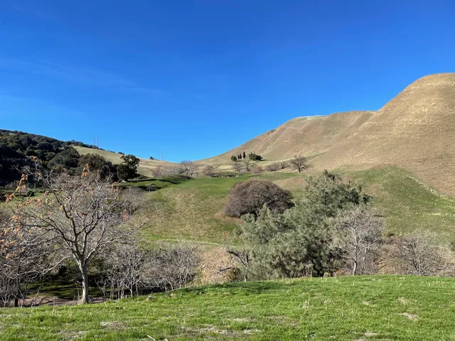 Black Diamond Mines Regional Preserve