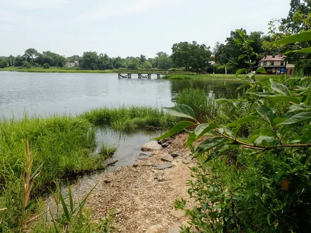 Udall's Cove Park Preserve