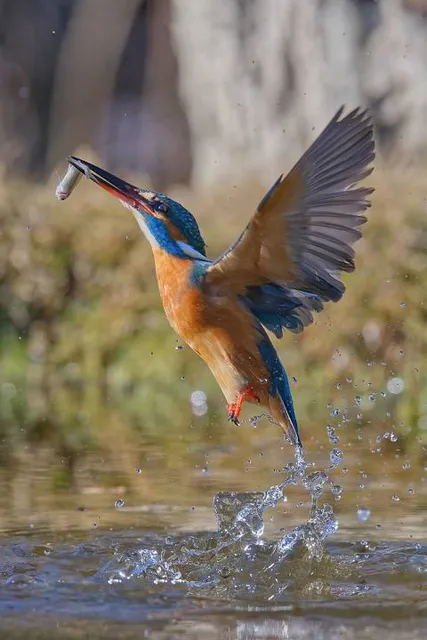 Oasis Cave di Gaggio North