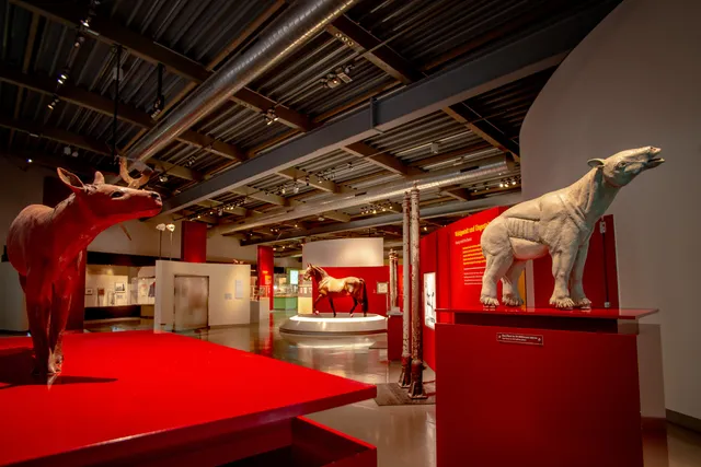 Westphalian Horse Museum Münster gGmbH