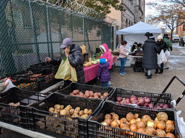 South Bronx Farmer's Market - June to November 2016