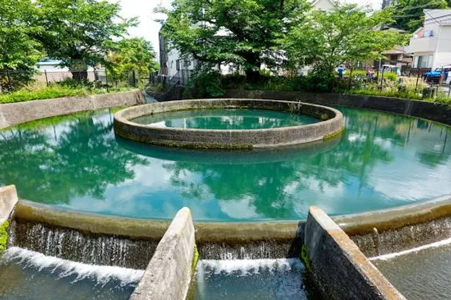 Kuji Cylindrical Water Divider