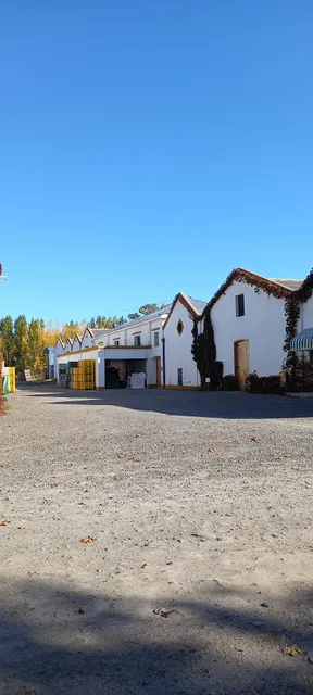 Bodega HUMBERTO CANALE