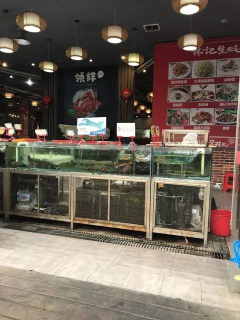 el Forno Lebanese Restaurant