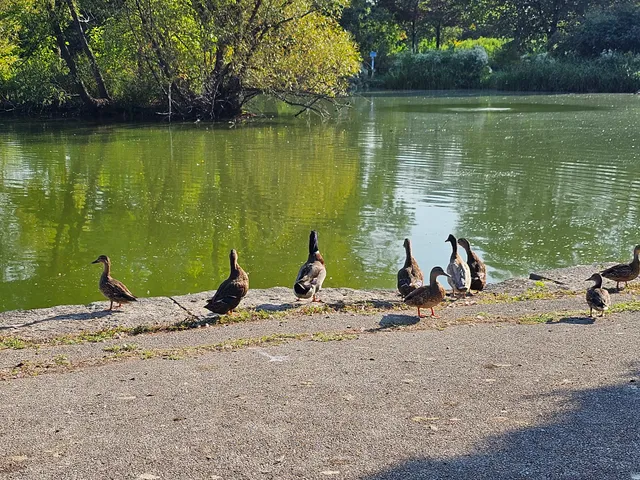 McKinley Park Natural Area