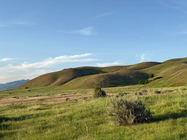 Bonneville Shoreline Preserve