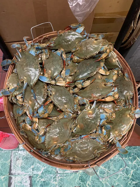 Castillo frozen Seafood