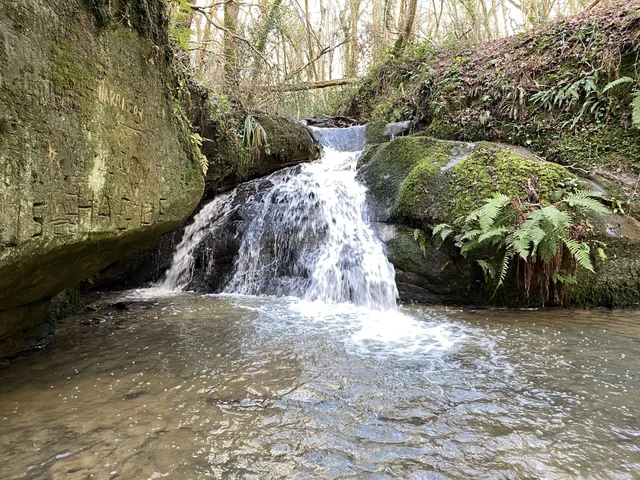 Marline Valley Nature Reserve, Sussex Wildlife Trust