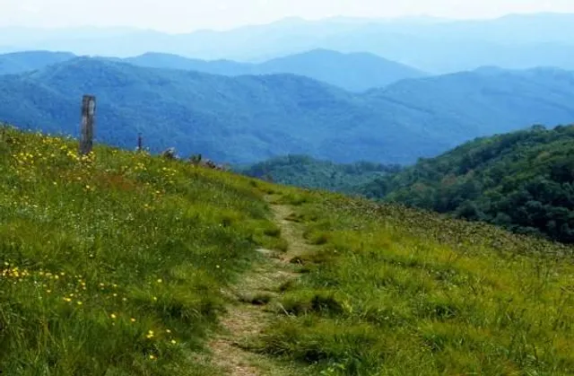 photo-1
