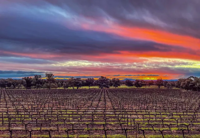 Wood Park Wines Cellar Door Milawa
