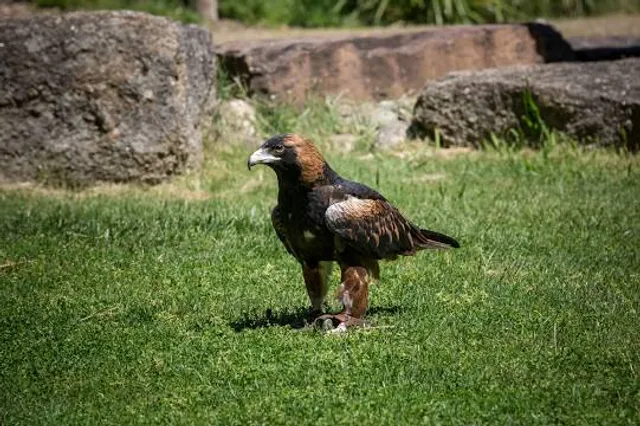 Schnebly Redland's Winery & Brewery