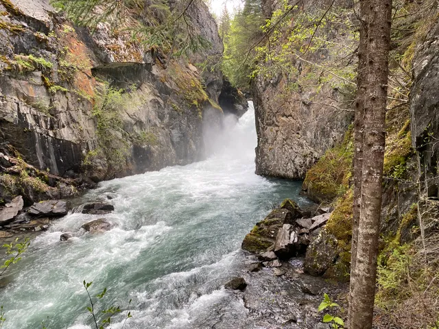 Bird Creek Valley Trailhead