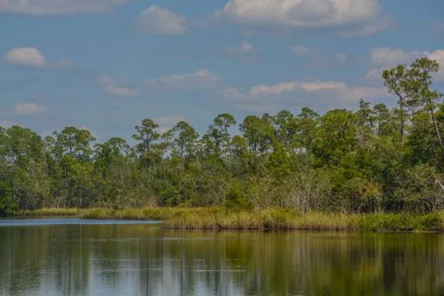 Russell Harber Landing Park