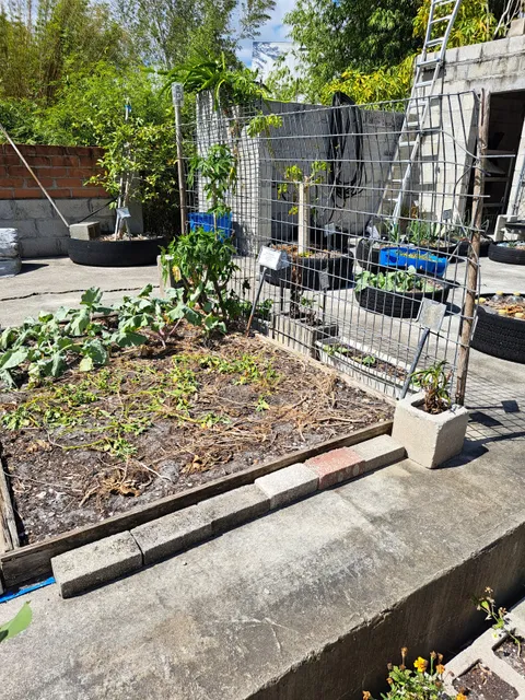 ECHO North America Impact Center