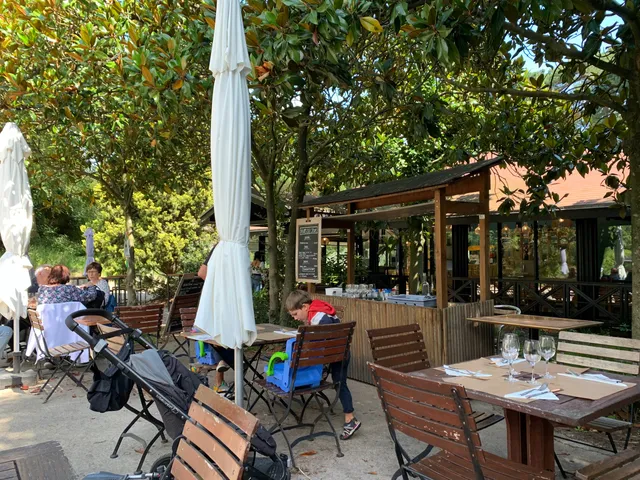 Les Magnolias du Parc Floral