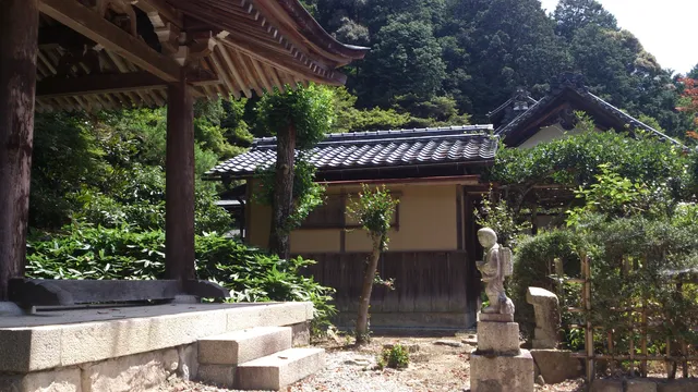 photo-1