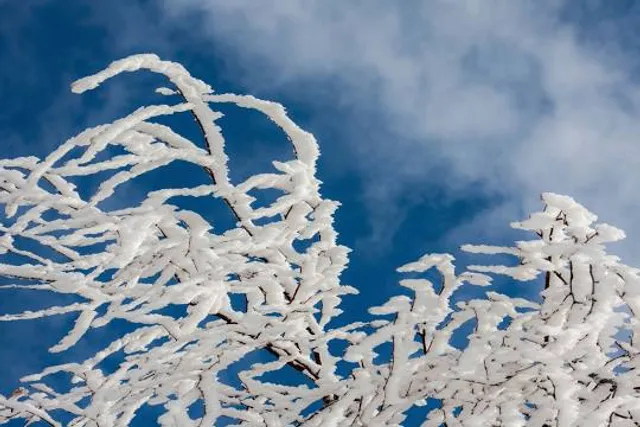 Eden Beach - Blue flag Beach
