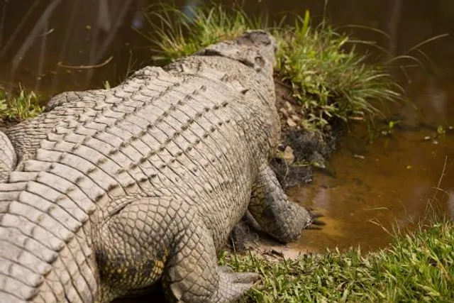 Parque Zoobotânico de Brusque