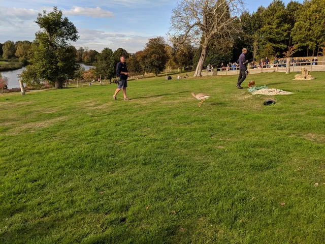 The Knights' Stronghold Playground