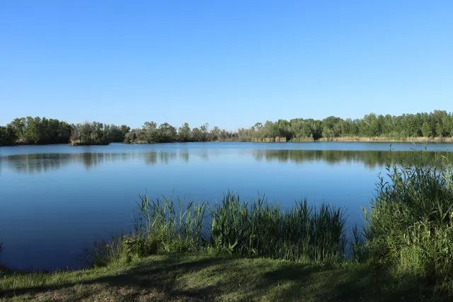Morotva Tavi Tanösvény kilátó